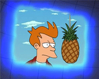 fry2.gif